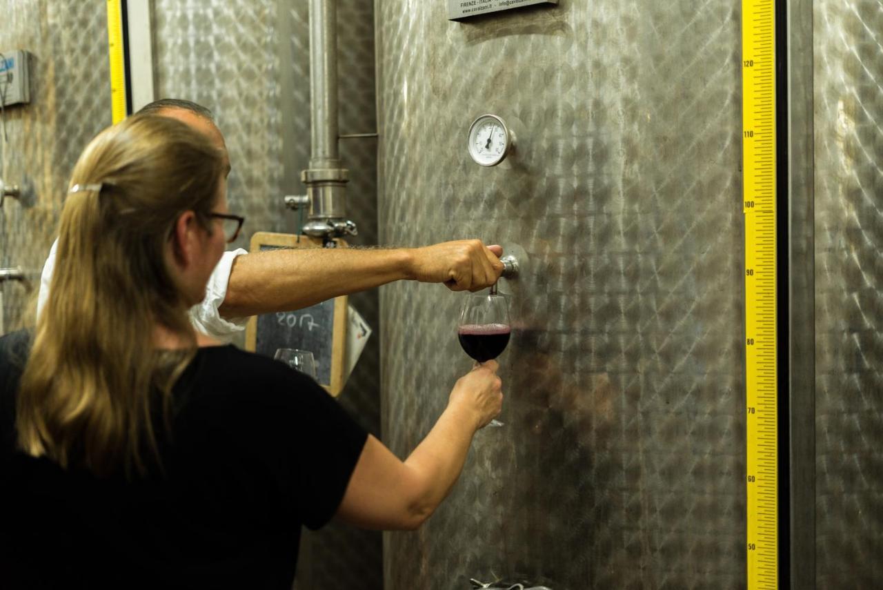 Agriturismo Streda Wine & Country Holiday Vinci